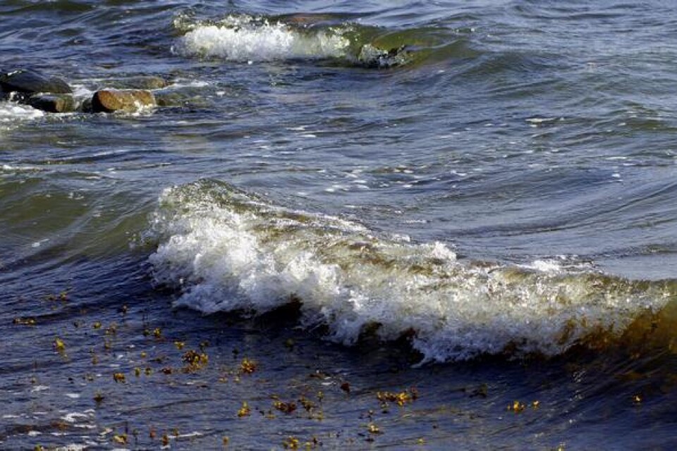 Med stigande havsvattennivå så kommer vågorna att bryta intensivare och närmare stranden, skriver Ivar Ek.