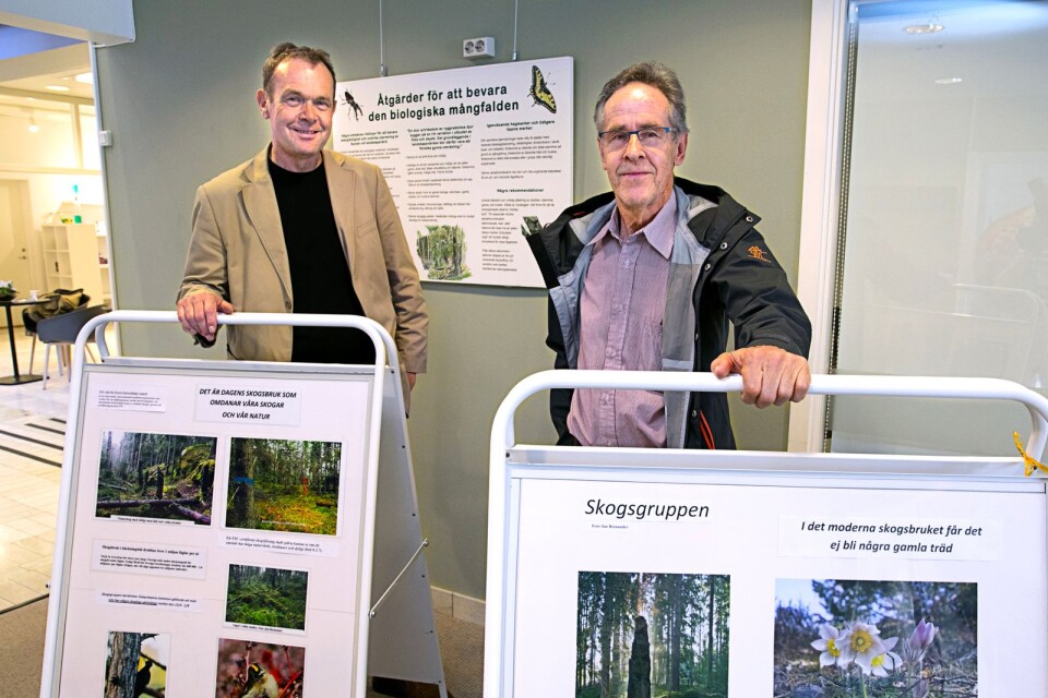 Jan Brenander och Krister Ek har en utställning om skogsbruket.