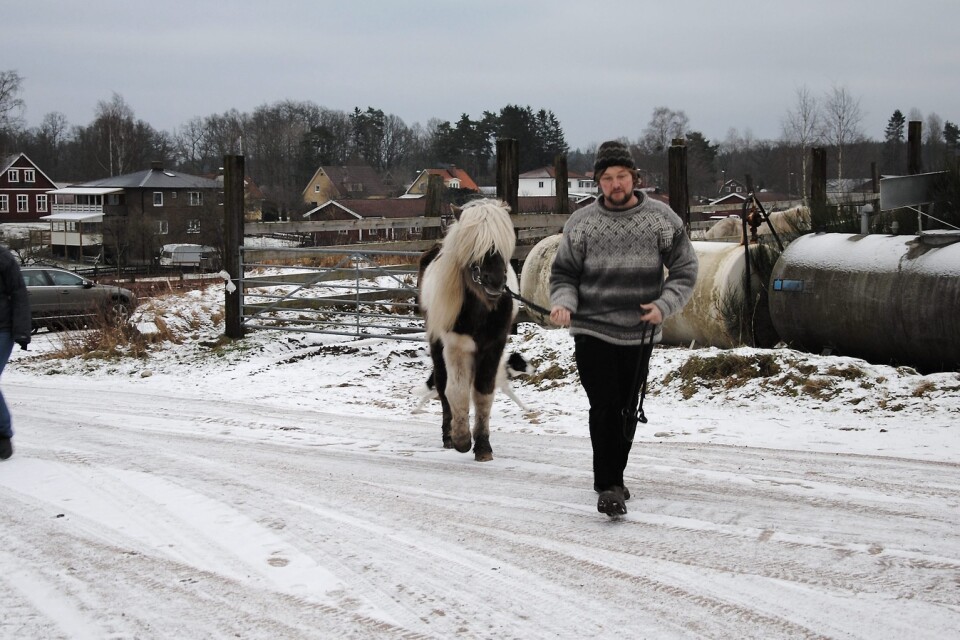Anna Nilsson och Johan Larssen i Visseltofta tillåts nu enbart hålla nio hästar på gården.                                    FOTO: SUSANNE GÄRE