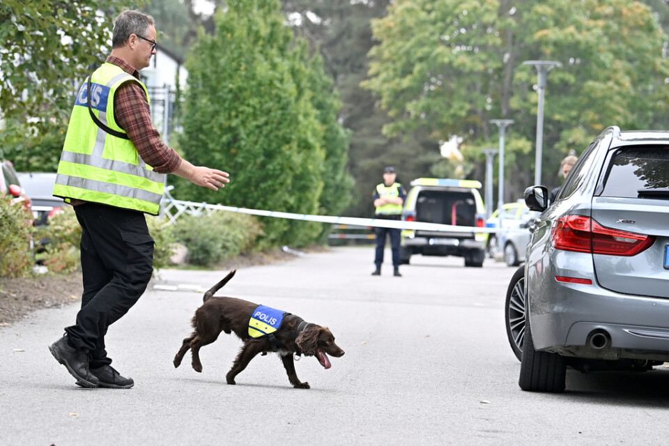 Polisen letar med hundar efter bevis efter nattens dödsskjutning.