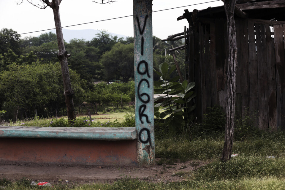 En väpnad gren av brottskartellen La Familia Michoacan, kallad Viagra, markerar sitt revir i de drabbade delstaterna Michoacan och Jalisco. Arkivbild.
