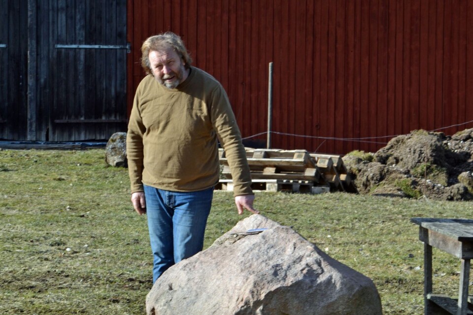 Ständig stenålder. Peter Bryngelsson slåss med och mot naturen i sin steniga oas. Mycket slit har det blivit genom åren.