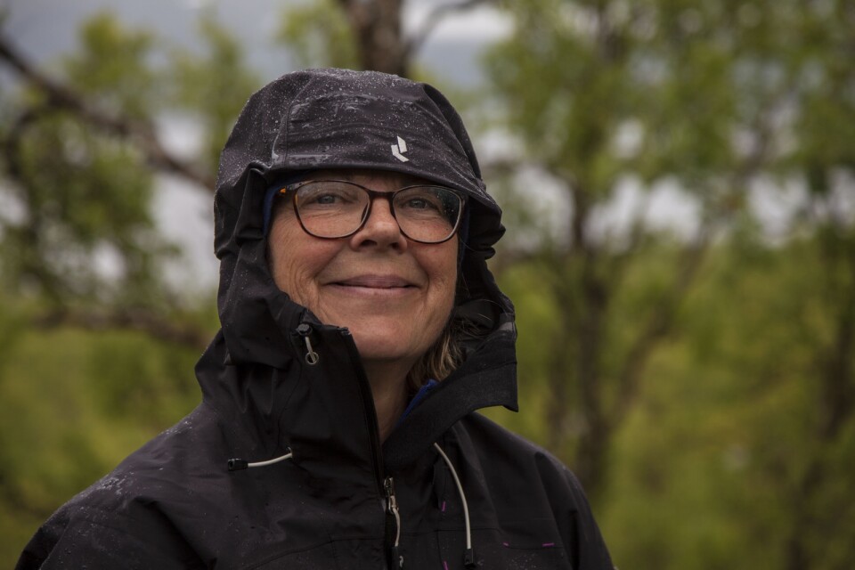 Regnjacka skyddar lika fint mot mygg som mot regn i Tornedalen, tycker Kristina Laurell.