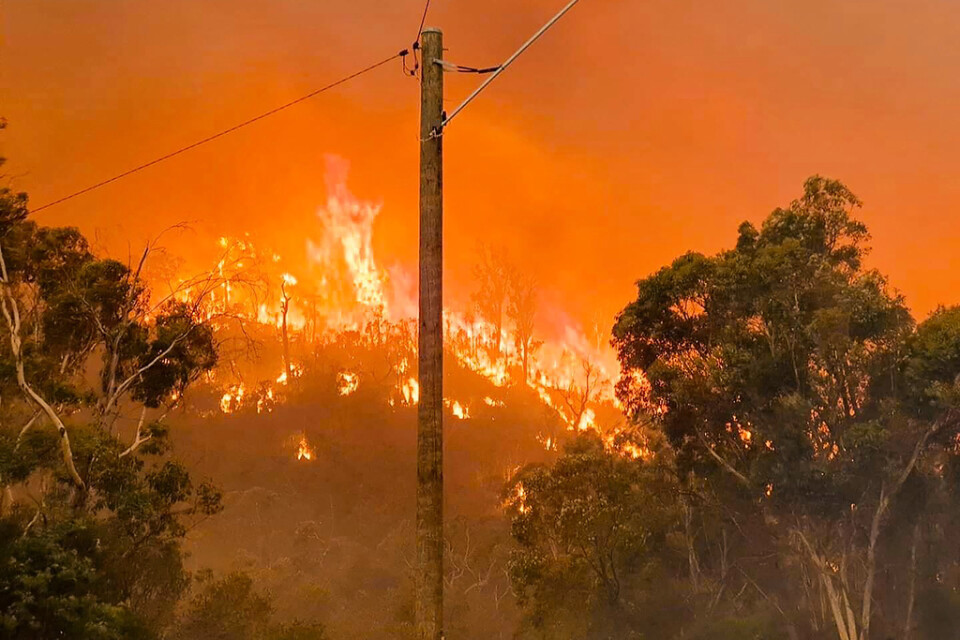 Australien drabbas ofta av omfattande skogsbränder. Den här rasade i Western Australia i februari i fjol. Arkivbild.
