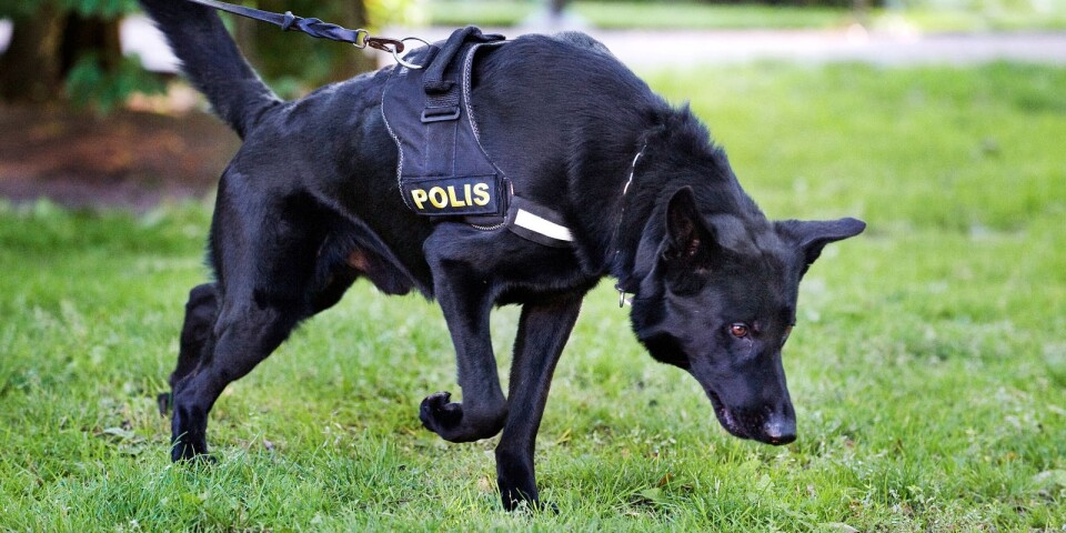 Specialhund letade efter försvunna kvinnan: ”Har inte gett något resultat”