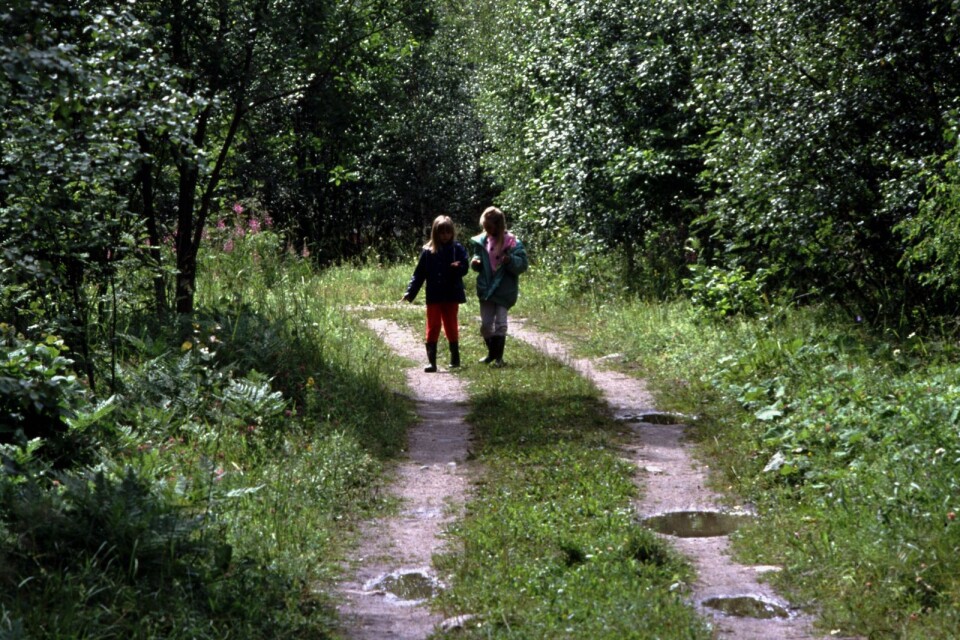 Två flickor promenerar i skogen. När skogen avverkas ger det skatteintäkter som gör att kommunen har råd att betala ut lärarlöner.