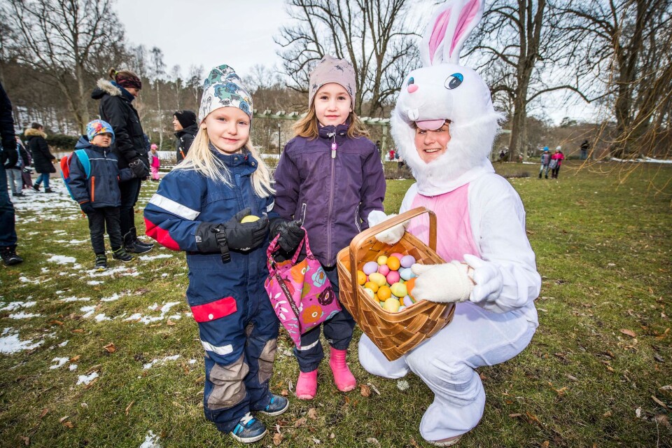 Runt 2 500 personer lockades till äggjakten i Brunnsparken förra året. För att äggen ska räcka till alla barn i år har 20 000 små ägg köpts in.
