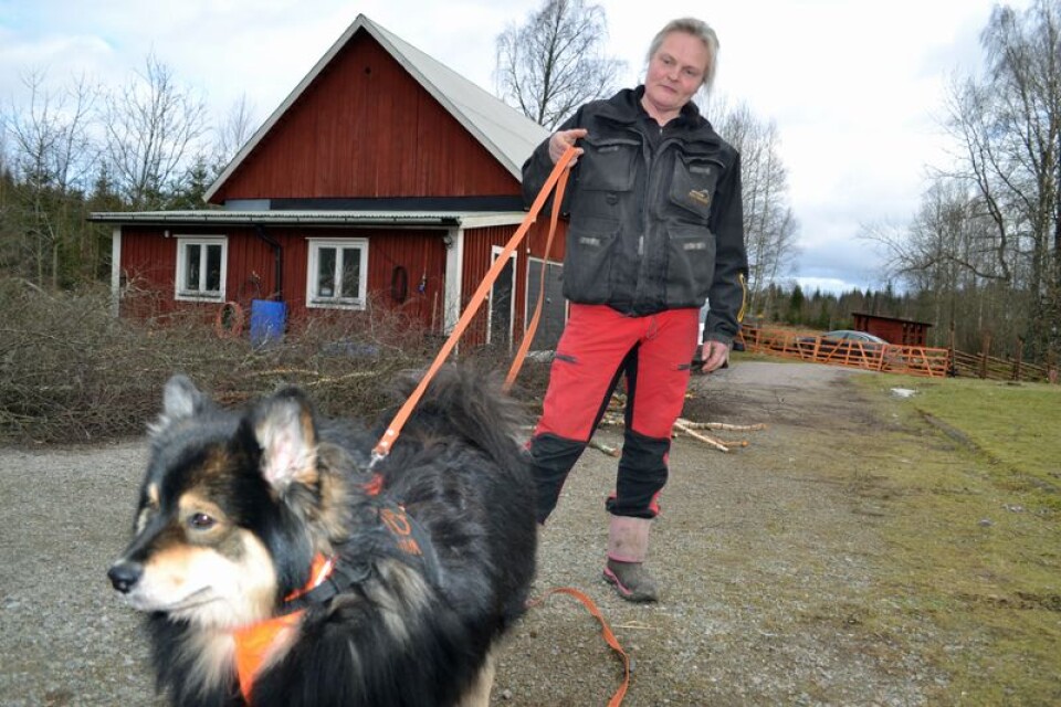 Hundens bästa vän är hunden. Licensierade id-spanaren Asllak, här med matte Marita Askblom i släptåg, nosar rätt på bortsprungna olycksbröder och -systrar.