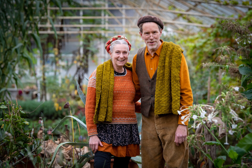 Marie och Gustav Mandelmann påtar vidare i sitt växthus. Arkivbild.