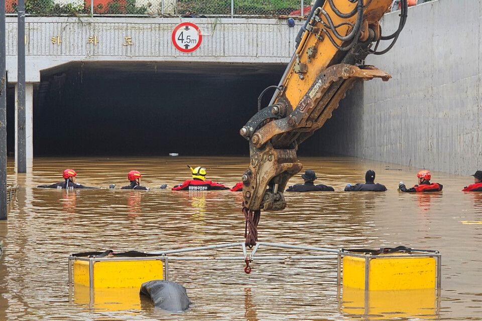 Räddningsarbetare har bärgat 13 kroppar ur vägtunneln i Cheongju som översvämmades på lördagen.