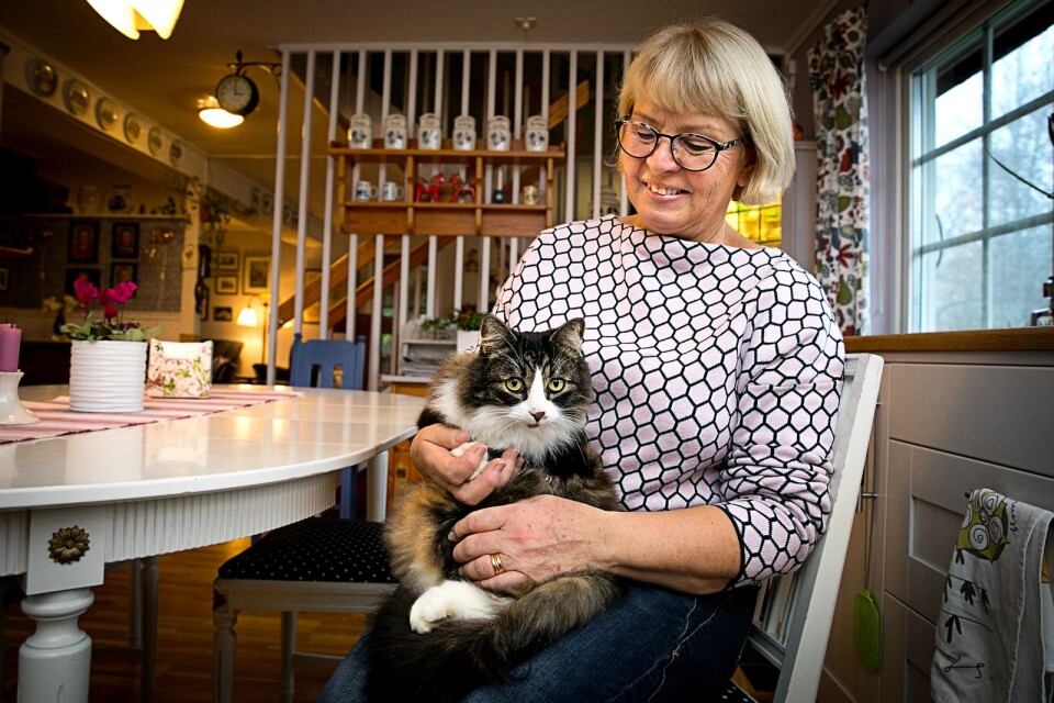 Elisabeth Holgersson tillsammans med katten Morris Minor som är hemma igen efter att ha varit försvunnen i en månad.