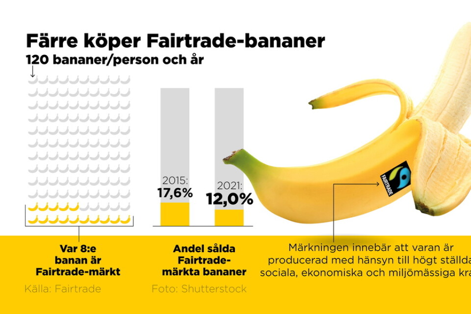 Försäljningen av Fairtrade-märkta bananer ökar globalt sett, men i Sverige minskar den.