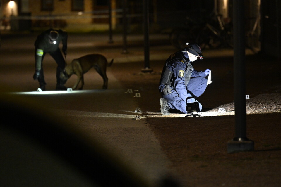 Polis på plats i Mariastaden i Helsingborg tidigt på påskaftons morgon efter larm om skottlossning.