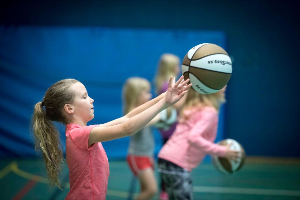 Basketball for girls. Ljungdala Meeting-point.