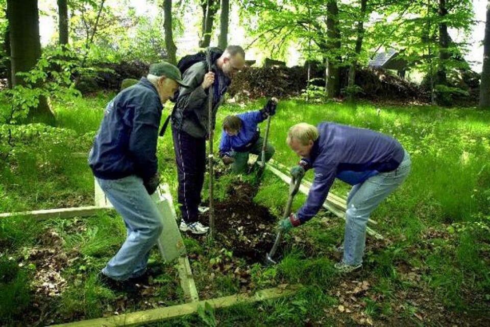 Information. En anslagstavla sätts upp där de tre motionsspåren startar. Lennart Persson, Torgny Persson, Bodil Werkström och Roger Persson gräver hål där tavlans ben ska stå.