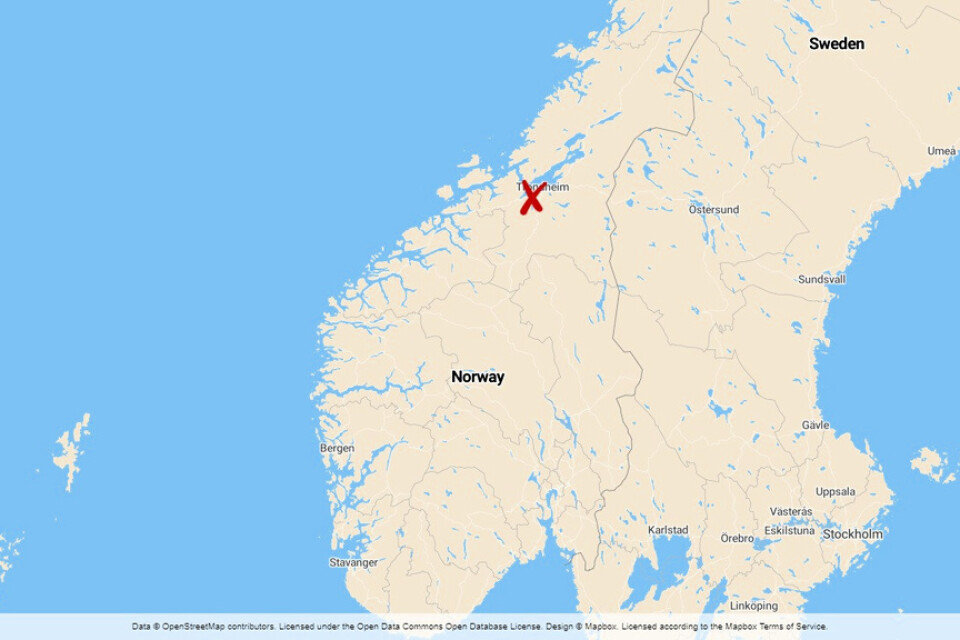 En ung man har gripits på en skola i Trondheim.