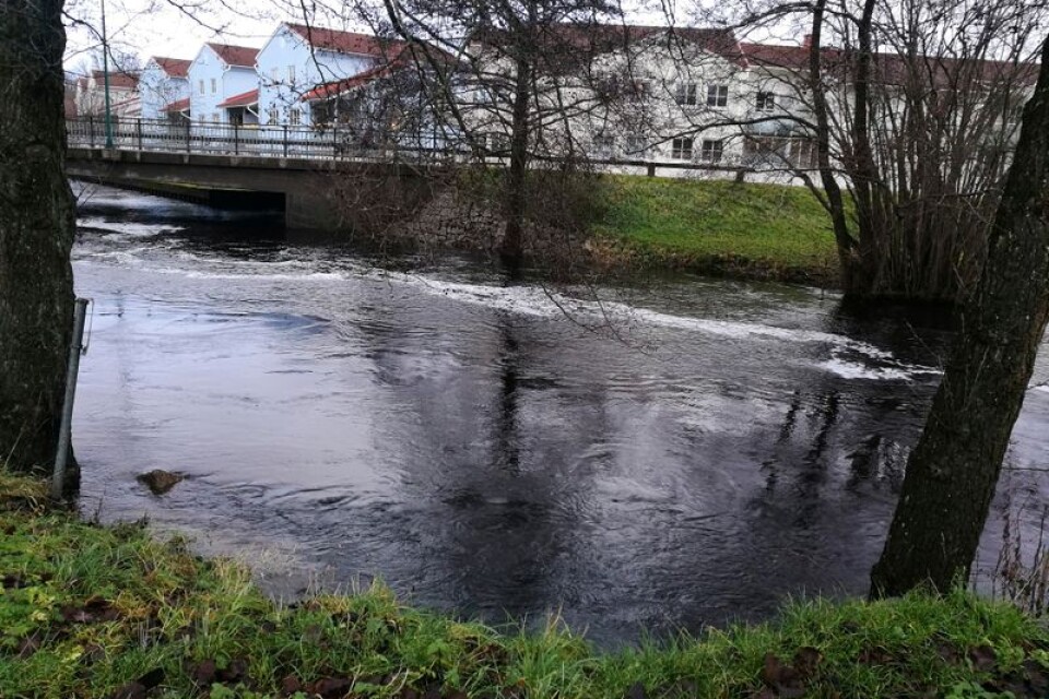 SMHI har utfärdat klass 1-varning för höga flöden i Ronnebyån (bilden) och Mörrumsån.