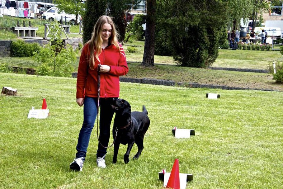 Linnea Bjuringer och hunden Selly visade upp rallylydnad.