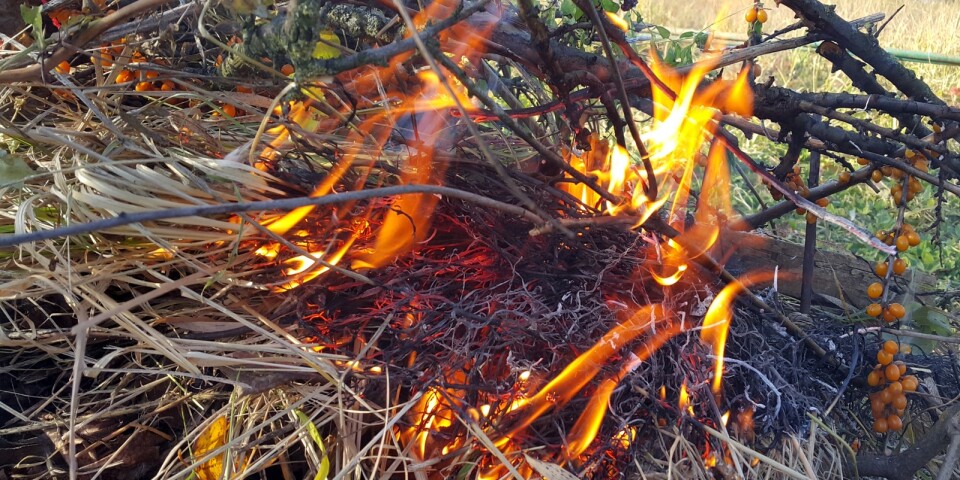 Brand: Kontrollerad eldning spred sig till växthus: ”Viktigt att man tänker sig för”
