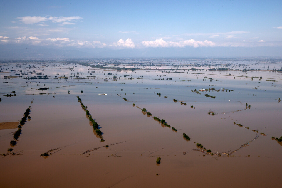 Översvämmad landsbygd i Thessalien under fredagen.