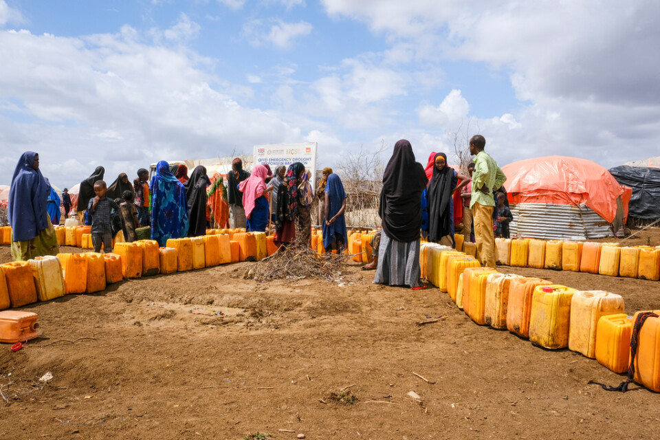 Somalier köar för vatten, distribuerat av norska NRC Flyktinghjälpen. Bilden är tagen nära staden Baidoa i höstas.