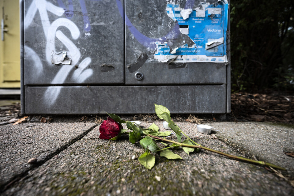 Augusti förra året: En ros och ljus på Sergels väg i Malmö där småbarnsmamman Karolin Hakim sköts till döds. Arkivbild.