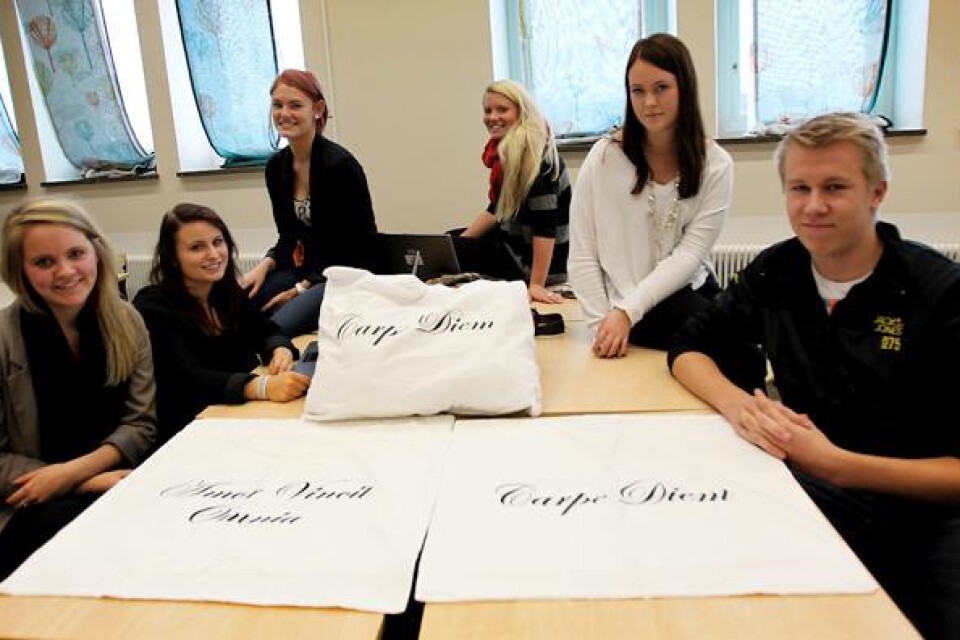 Maria Jönsson, Madeleine Andersson, Caroline Nilsson, Mia Olin, Amanda Larsson och Oskar Grip driver tillsammans Pillow case UF, som är ett av elva företag på Söderslättsgymnasiet.