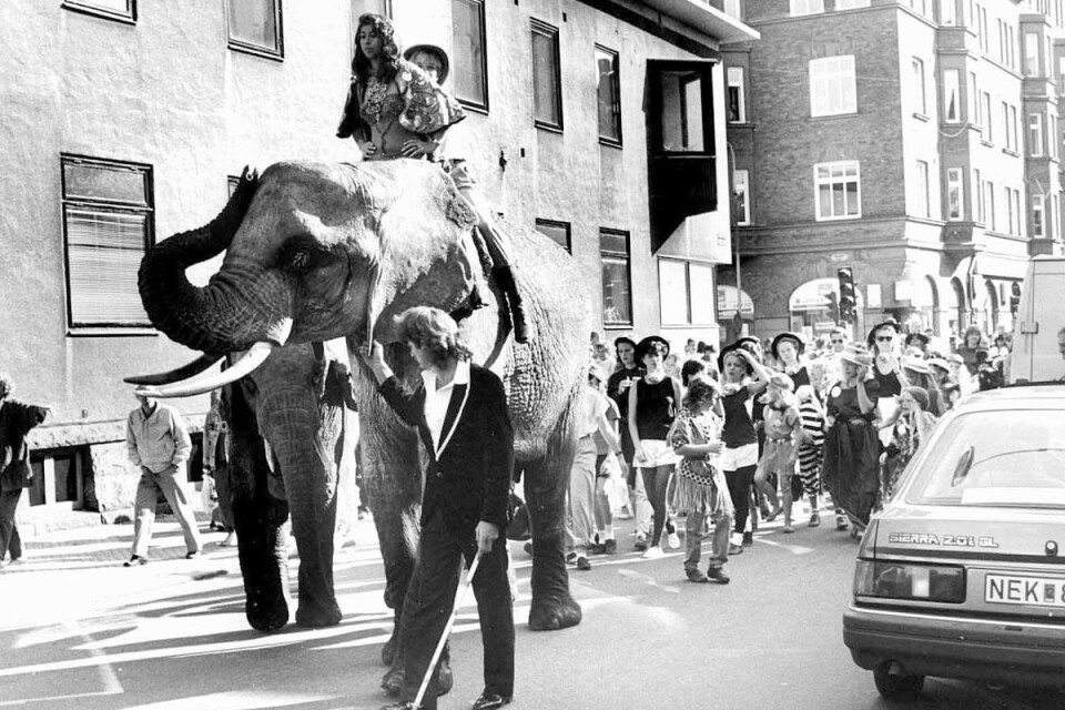 1989. Besökarna kunde få en ridtur på ”Trellefanterna”. Foto: Claes Nyberg