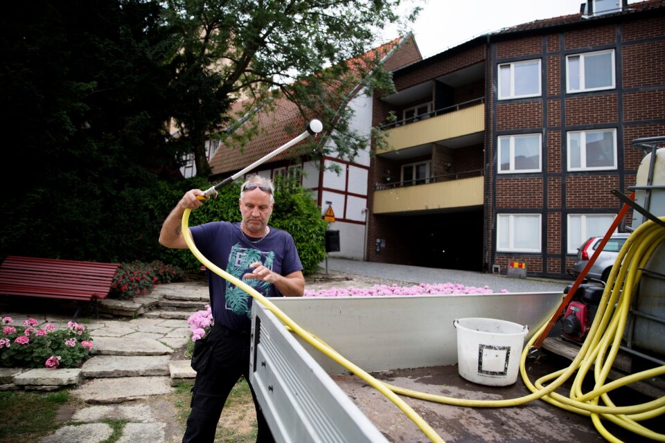 –  Det är viktigt att vattna mycket och låta det sjunka in ordentligt, säger Jörgen när han vattnar blommorna på Garvaregränd i Ystad.