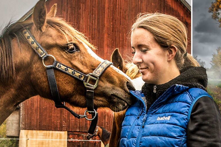 Isabell, 23, följde drömmen om en egen hästgård: ”Alltid varit driven”