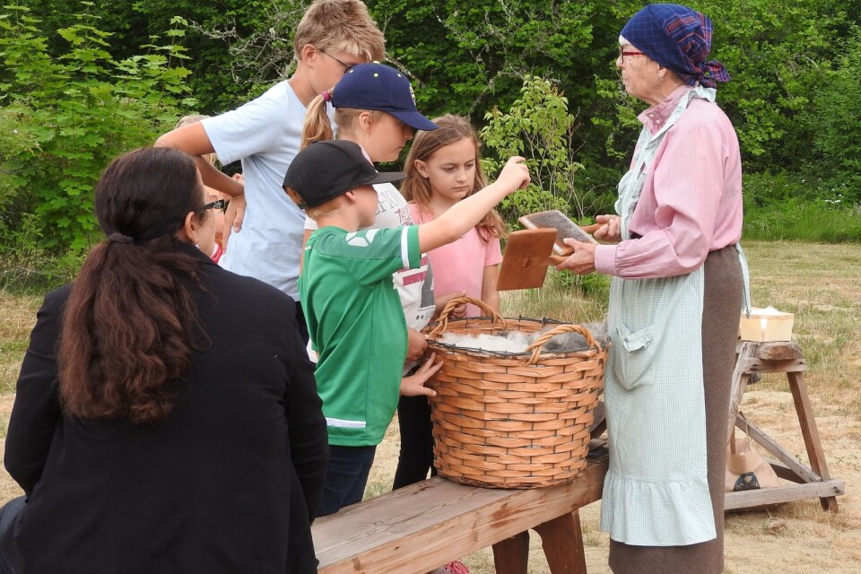 53 elever från Spängerskolan besökte nyligen Örsnäs hembygdsgård för att prova på gamla tidens arbetsmetoder.