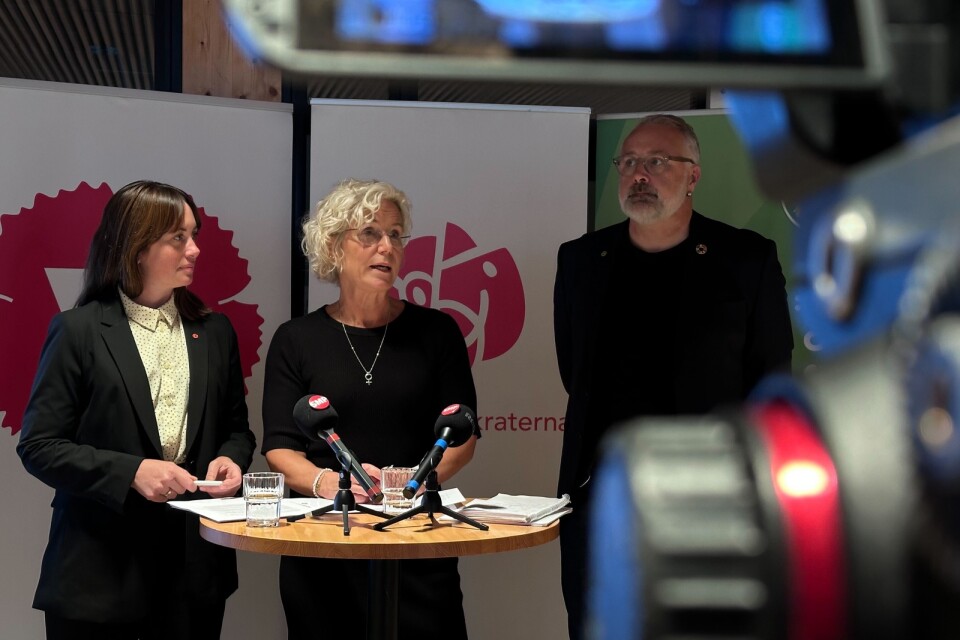 Maria Garmer (V), Malin Lauber (S) och Magnus P Wåhlin (MP).