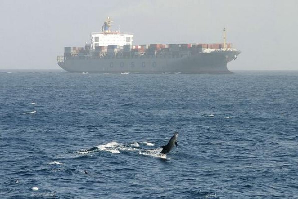 Ett kinesiskt lastfartyg utanför Somalias kust. Bild: AP Photo/Xinhua, Zhang Peng