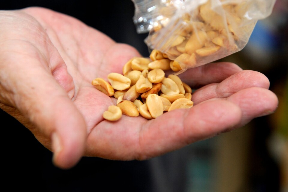 Albina Snacks återkallar jordnötter efter att höga halter av mögelgiftet aflatoxin hittats. Arkivbild.