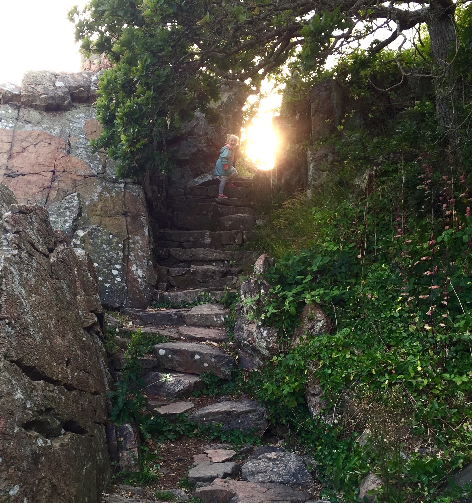 Stairway to heaven; stigen mellan Mölle och Ransvik.Att vandra på denna stig i solnedgång är att befinna sig mellan fantasi och verklighet. Den lilla trappklättraren på bilden är fyraåriga Vega Ragnarsson.
Bilden är tagen av Patrik Nilsson.