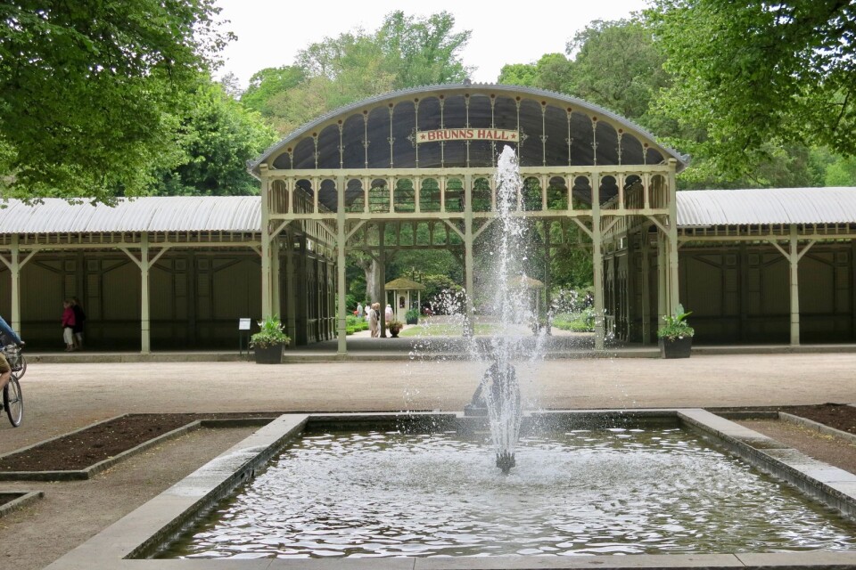 Rabatterna vid fontänen i Brunnsparken ska fyllas av ljusgula, vita och ljusblå blommor. Bland annat pärlhyacinter och tulpaner.