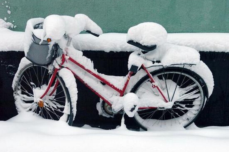 Bäst att låta cykeln stå, på cykelvägarna var snön flera decimeter hög.