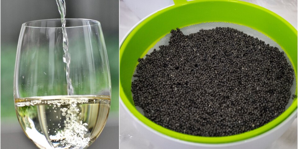 Forskarna söker svar: Varför passar vitt vin och svart kaviar så bra ihop?