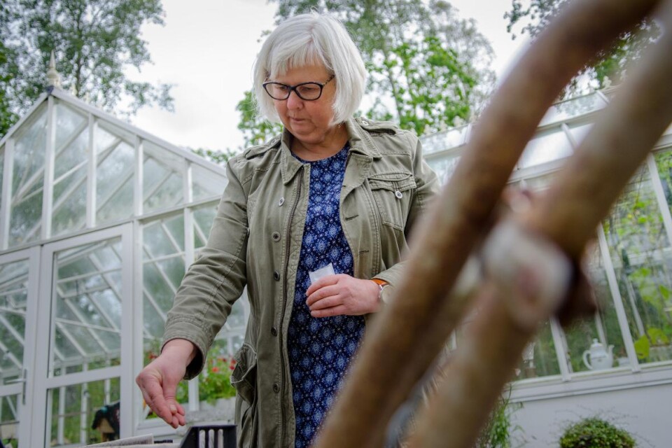 Anette Brunsell odlar i princip året om. Foto: Filip Bolmgren