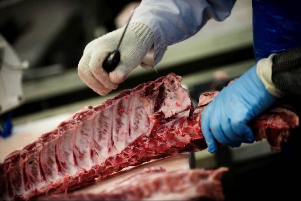En kotlettrad benas ur. Genom att variera arbetsställningarna – och från vilket håll köttet kommer och därmed bearbetas – har Scan lyckats minska risken för belastningsskador.