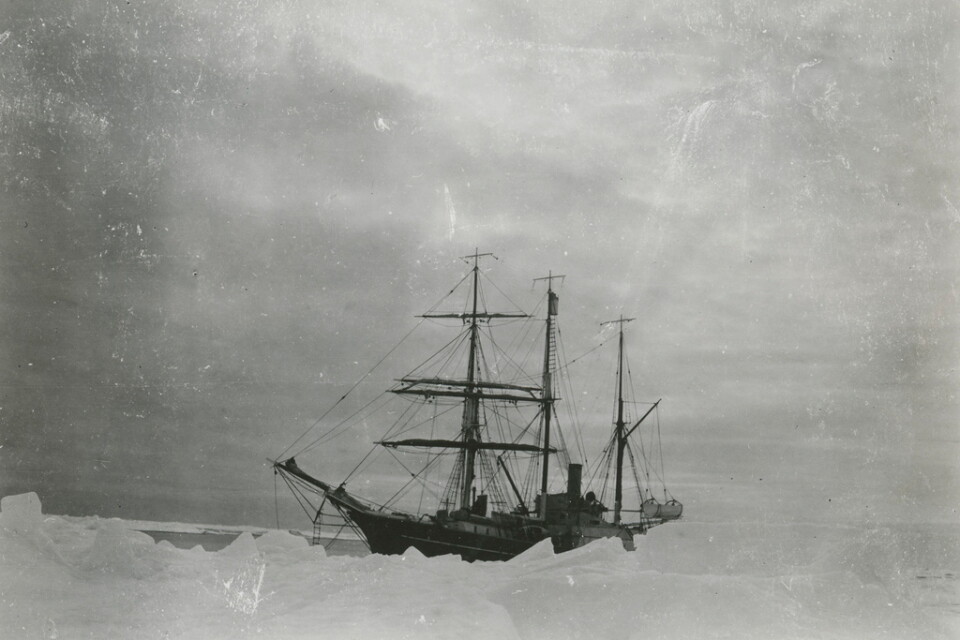 Ett stort fartyg är omgivet av ett kargt snölandskap. Ur Fred Goldbergs polarsamling. Pressbild.