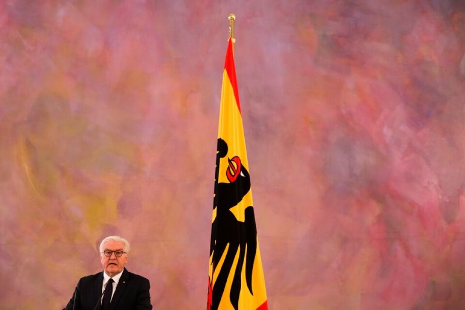 Tysklands president Frank-Walter Steinmeier under ett möte med media på måndagen.