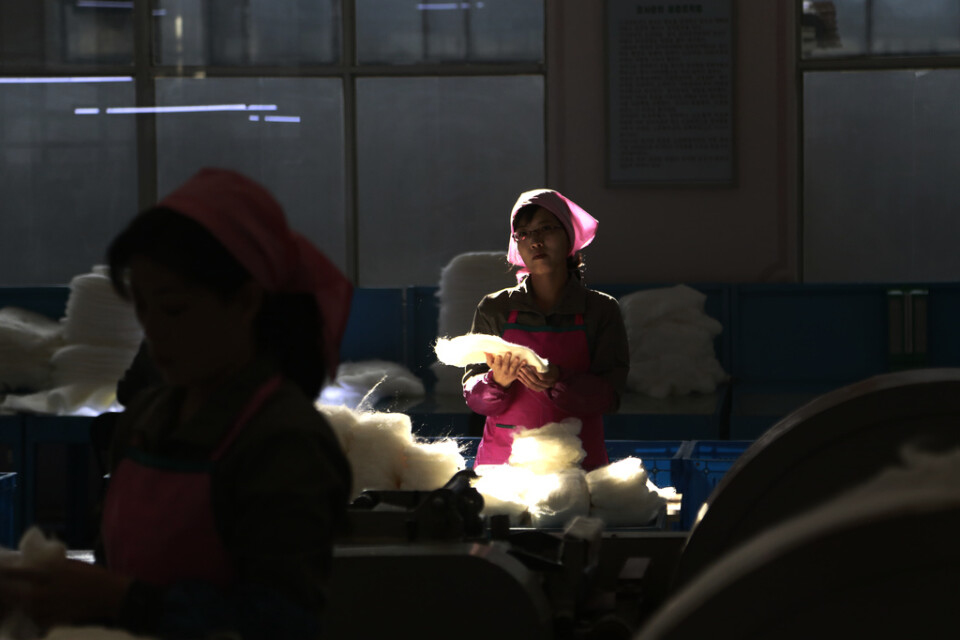 En kvinna arbetar vid ett silkesväveri i Nordkoreas huvudstad Pyongyang 2019. Kvinnan på bilden har inget med innehållet i artikeln att göra.