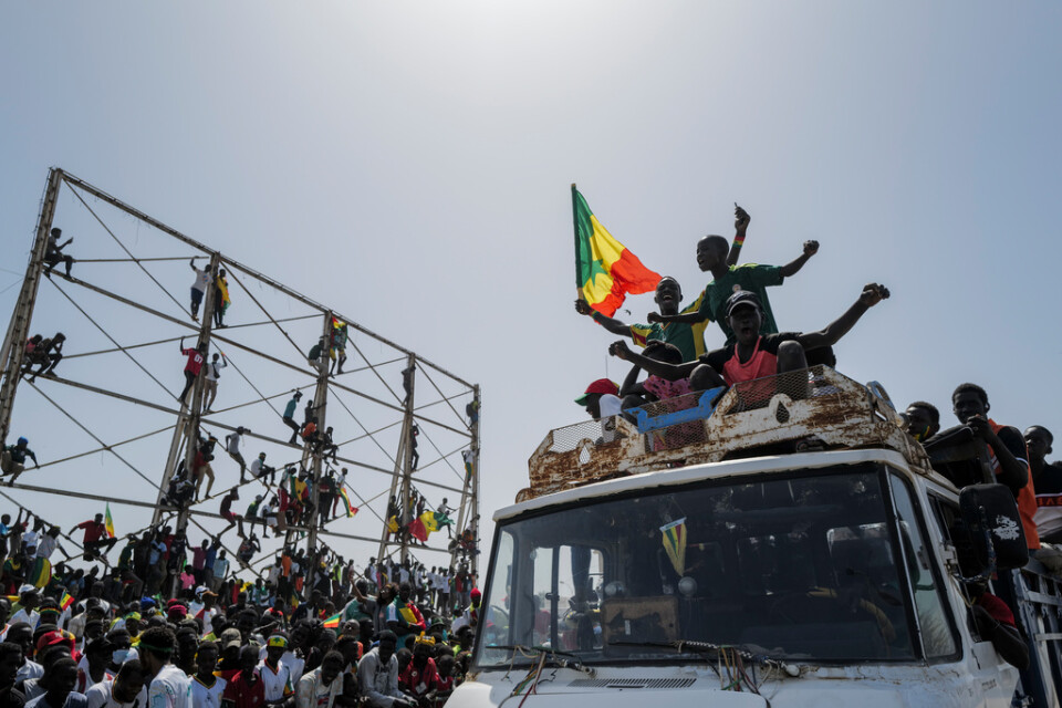 Fotbollssupportrar firar i Senegals huvudstad Dakar.