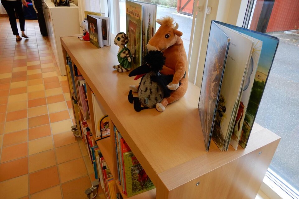 Även gossedjur fick plats i biblioteket. Foto: Mikael Gamm