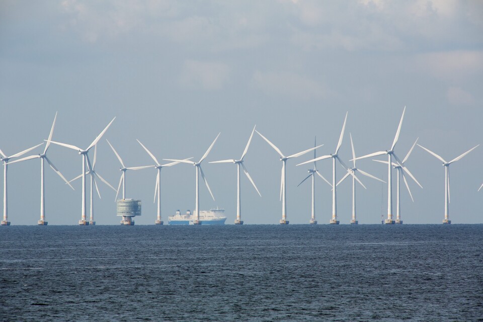 Vindkraft i Öresund. Foto: TT