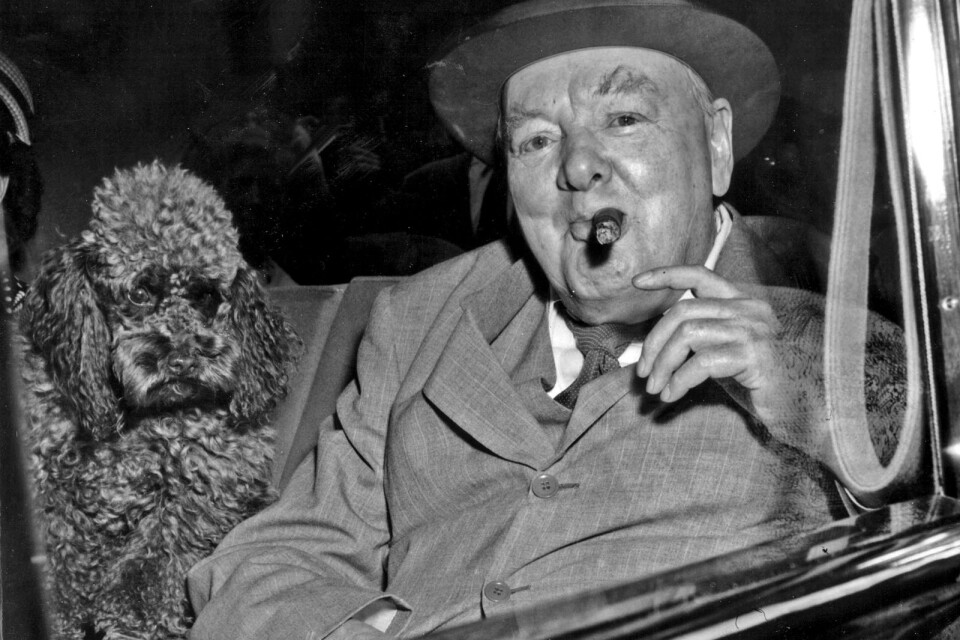 Sir Winston Churchill i en bil tillsammans med en hund. Året var 1953.