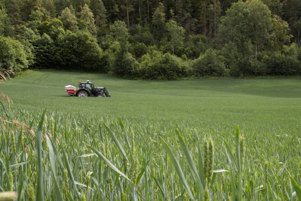 Svenska lantbruk har dålig kostnadstäckning, skriver debattskribenterna.