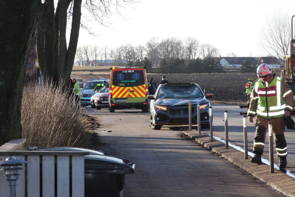 En personbil och en lösspringande häst kolliderade vid 16-tiden på väg 9 vid Smygehuk, utanför Trelleborg.