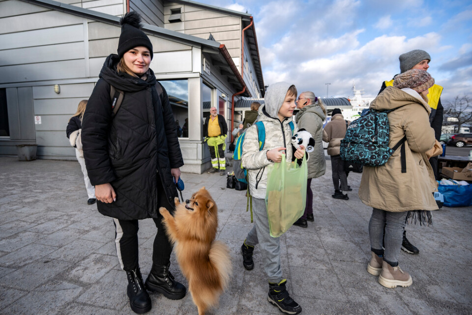 Katya Tarbes är på flykt från Kiev med sin lilla hund som enda ressällskap. Men snart får hon träffa pojkvännen i Göteborg.